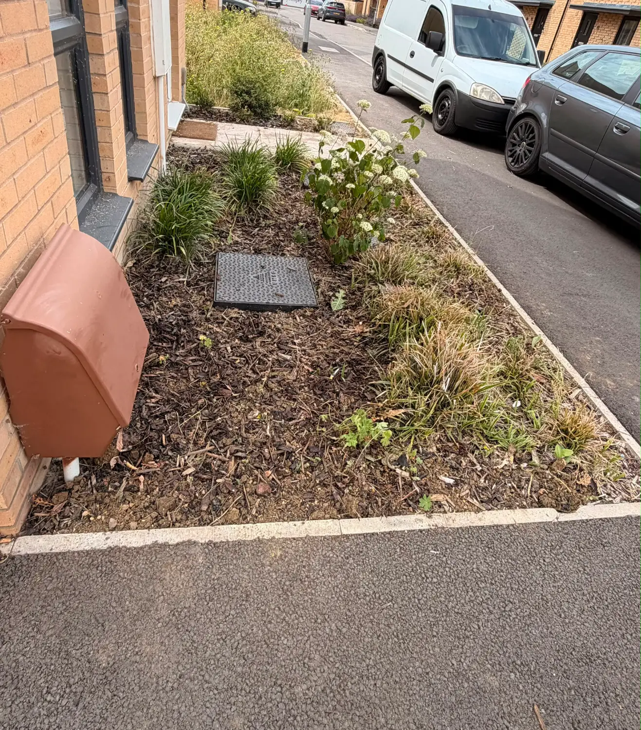 After: bed cleared, plants kept and freshly mulched