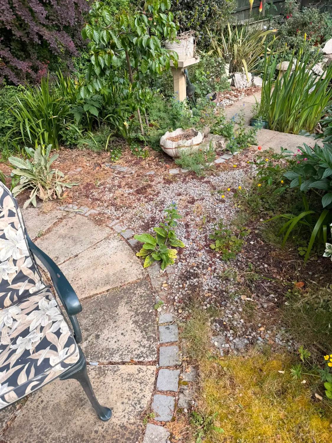 Before: gravel and circular paving overrun with weeds