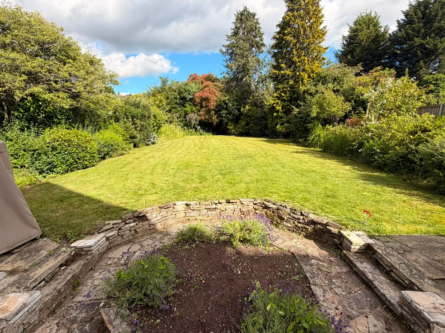 After: the same lawn freshly mown with stripes
