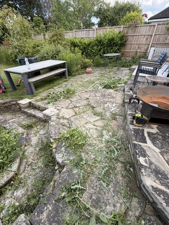 Before: flagstone patio overgrown with weeds
